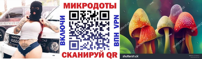Купить закладки  Вуктыл  Псилоцибиновые грибы мухоморы 